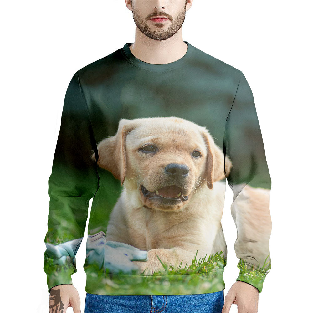 Puppy And Labrador Retriever Print Men's Sweatshirt-grizzshop
