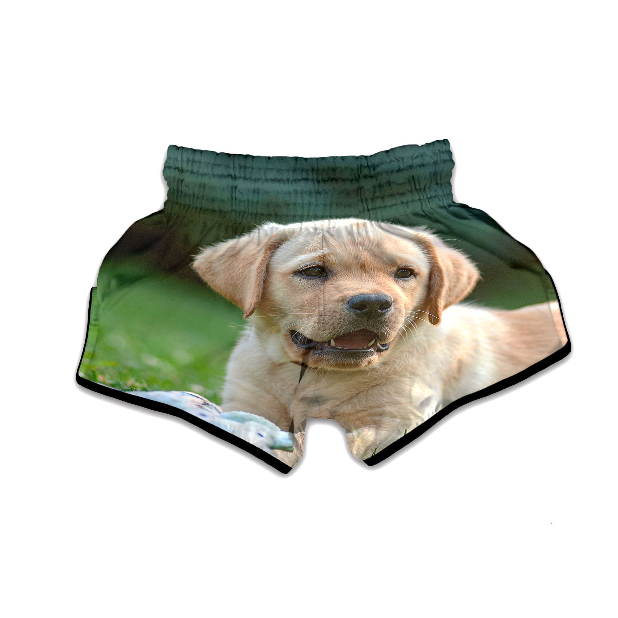 Puppy And Labrador Retriever Print Muay Thai Boxing Shorts-grizzshop