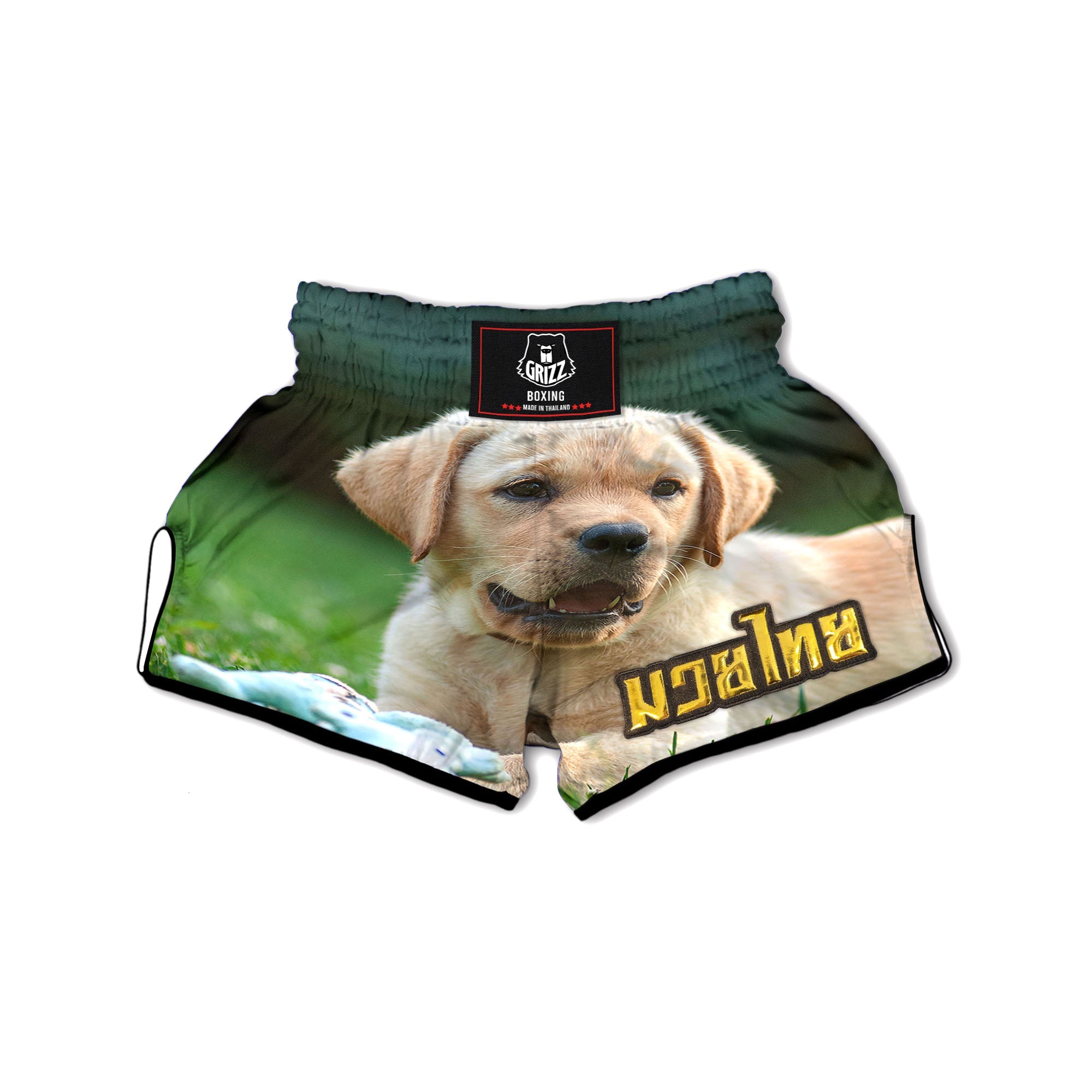 Puppy And Labrador Retriever Print Muay Thai Boxing Shorts-grizzshop