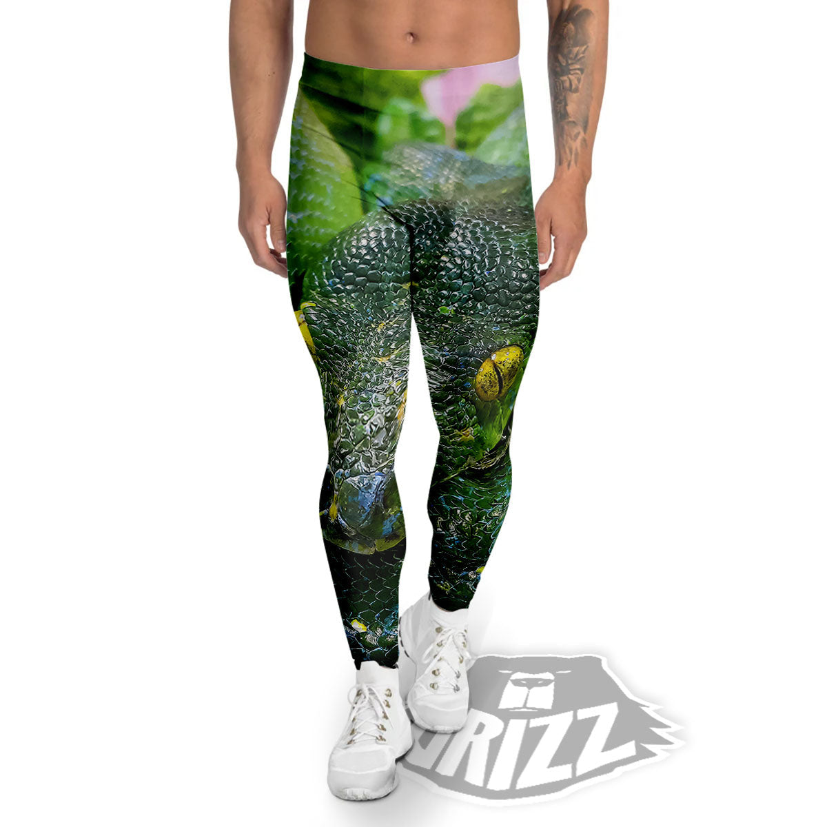 Python Snake Green Reticulated Print Men's Leggings-grizzshop