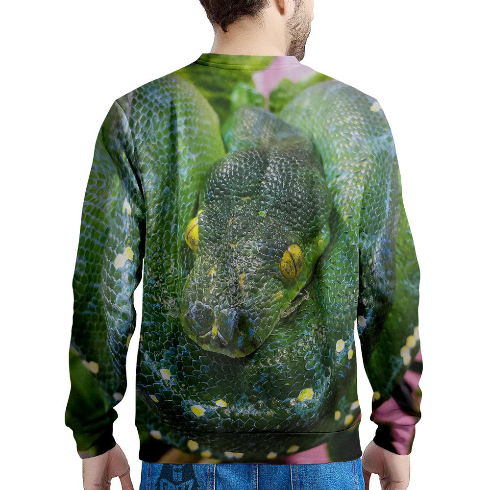 Python Snake Green Reticulated Print Men's Sweatshirt-grizzshop