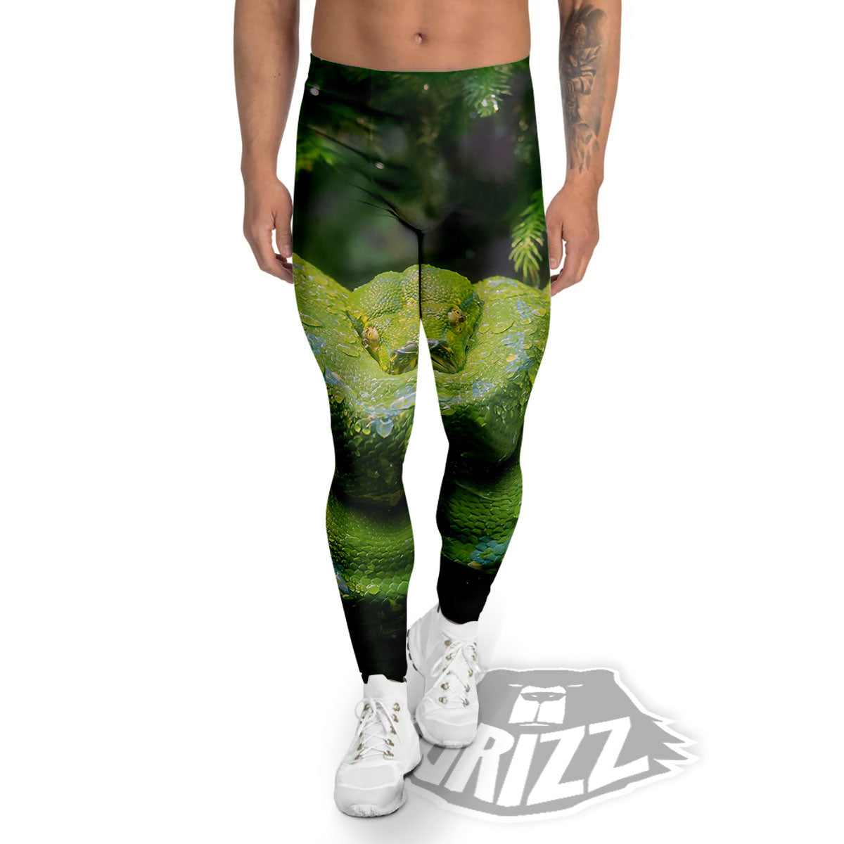 Python Snake Green Tree Print Men's Leggings-grizzshop