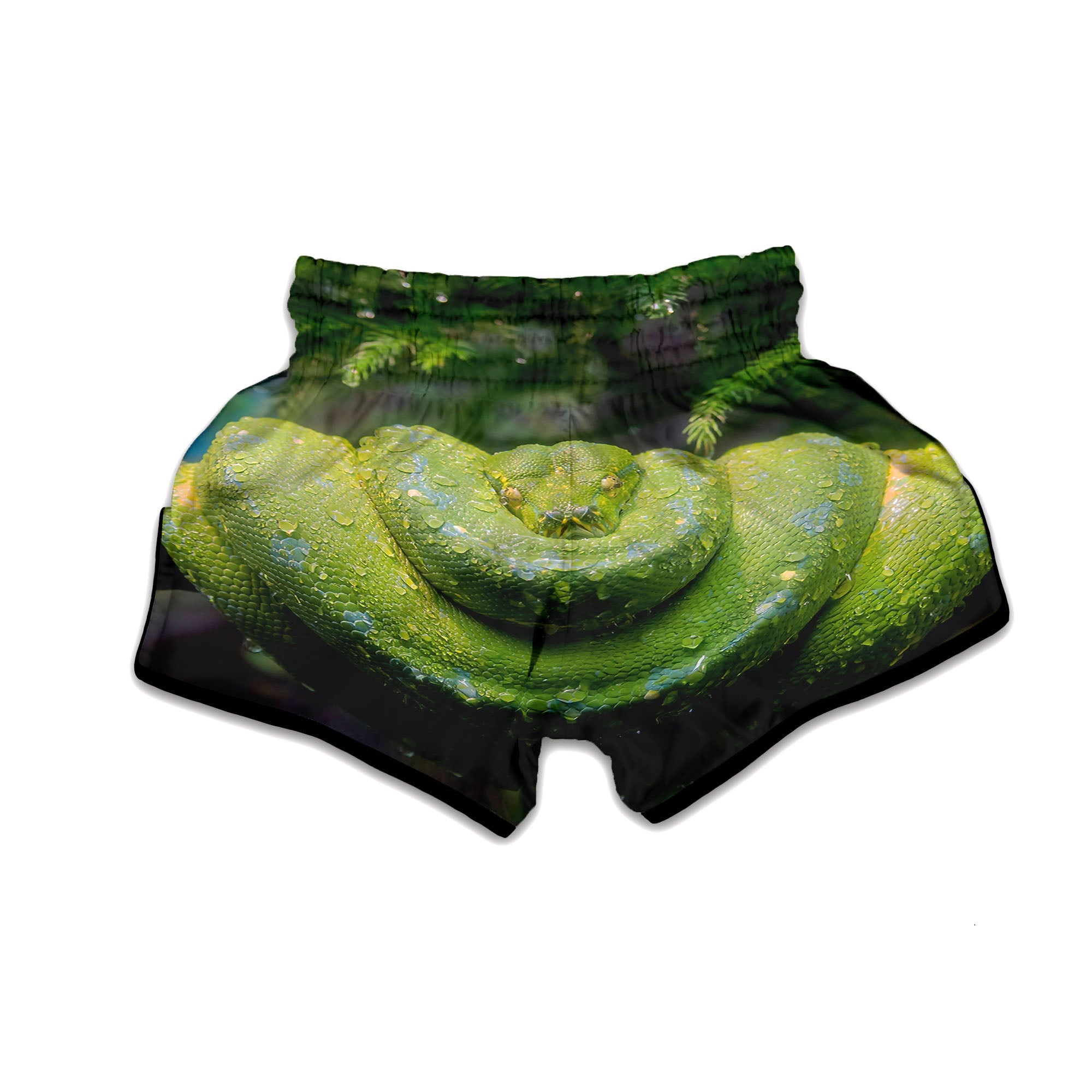 Python Snake Green Tree Print Muay Thai Boxing Shorts-grizzshop