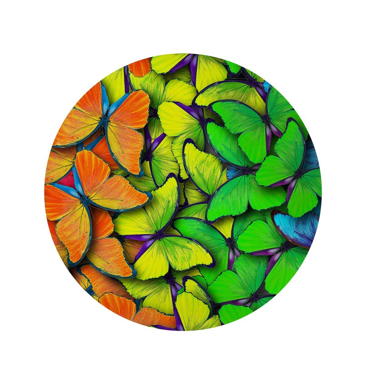 Rainbow Butterfly Print Round Rug-grizzshop