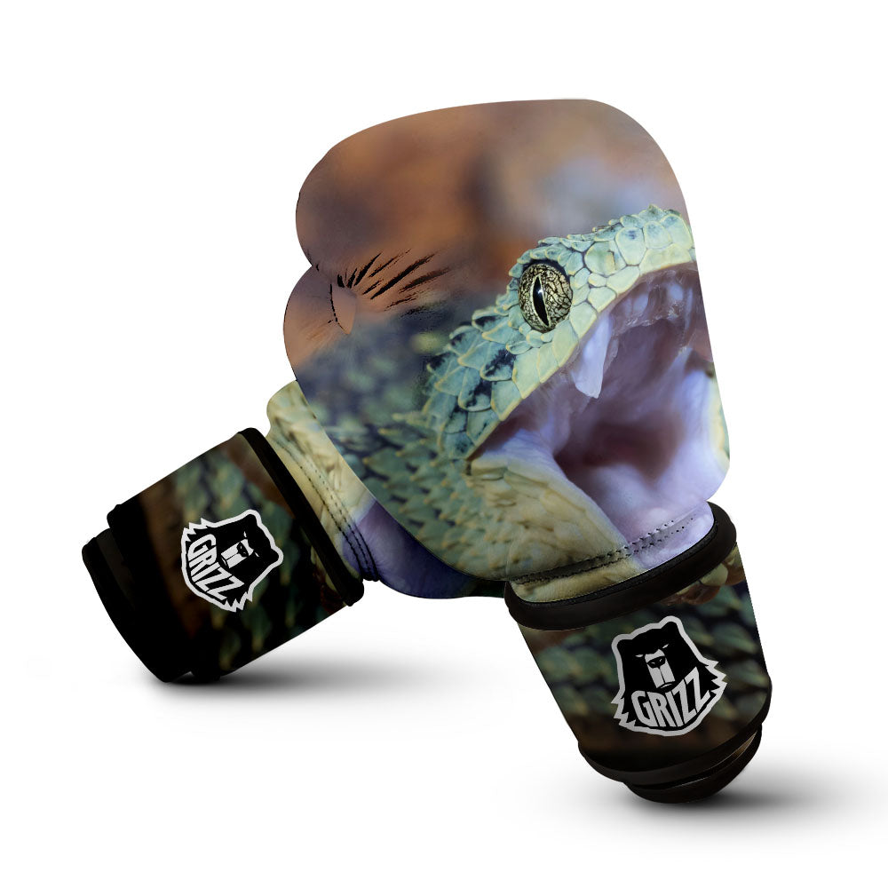 Snake Atheris Nitschei Print Boxing Gloves-grizzshop