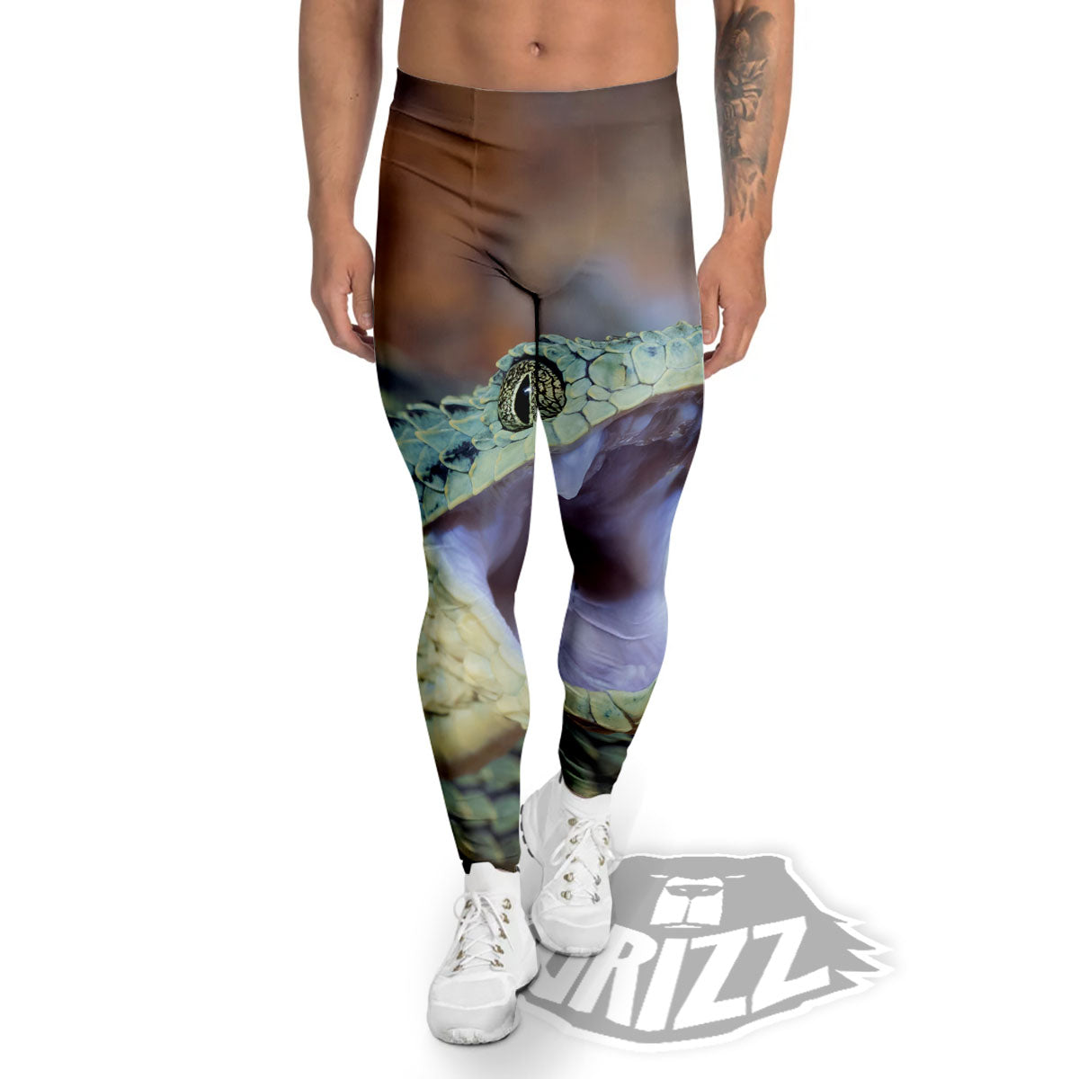 Snake Atheris Nitschei Print Men's Leggings-grizzshop