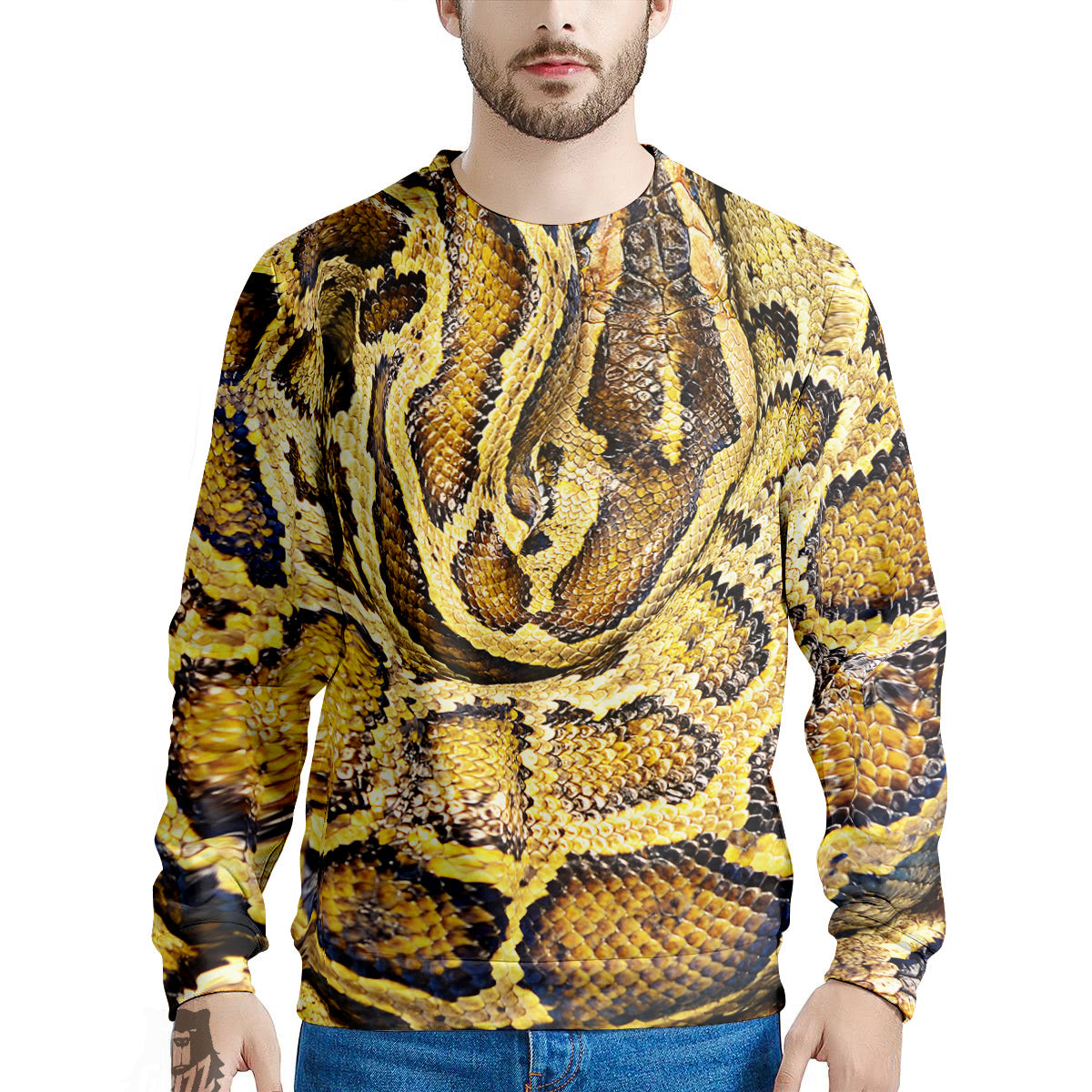 Snake Burmese Python Print Men's Sweatshirt-grizzshop