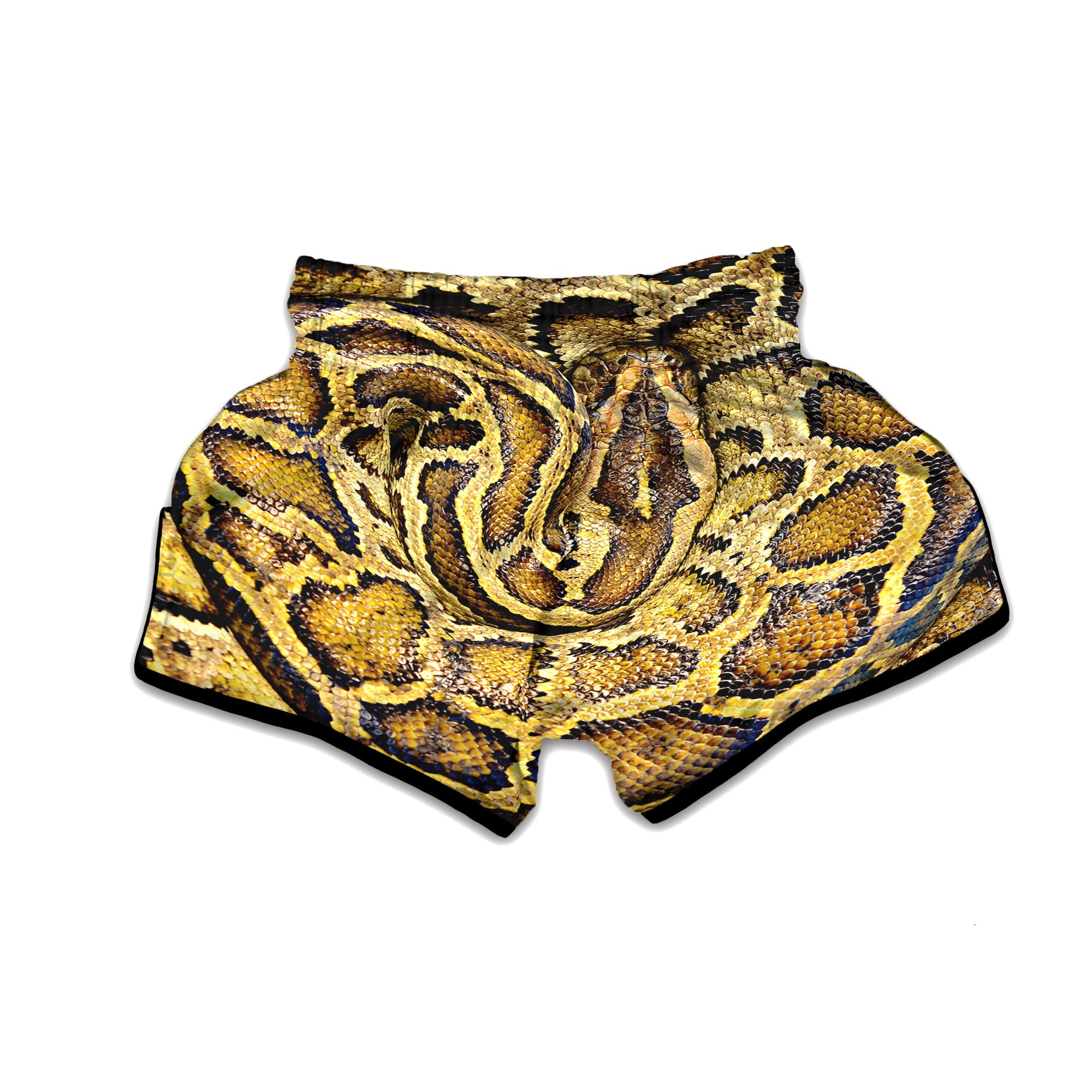 Snake Burmese Python Print Muay Thai Boxing Shorts-grizzshop
