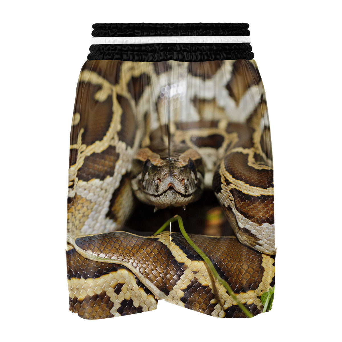 Snake Python Print Boxing Shorts-grizzshop