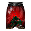 War Memorial American Print Boxing Shorts-grizzshop