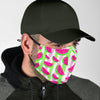 Watermelon Piece Stripe Green Pink Pattern Print Face Mask-grizzshop